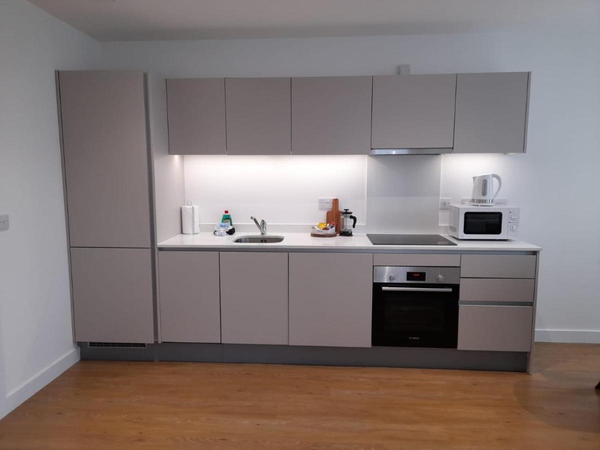 Berks Luxury Serviced Apartments , Free Parking, Free Gym And Free Wifi Брэкнэлл Экстерьер фото